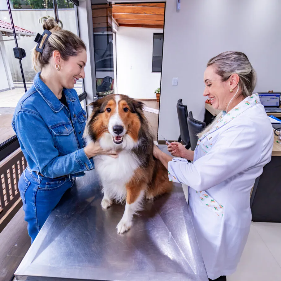 Vet_Dog_Atendimento-11